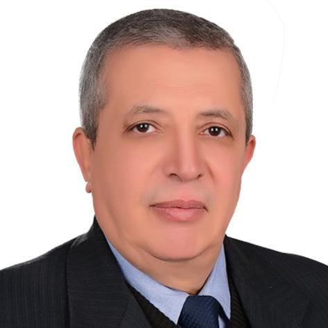 Medhat Mohamed Farhat