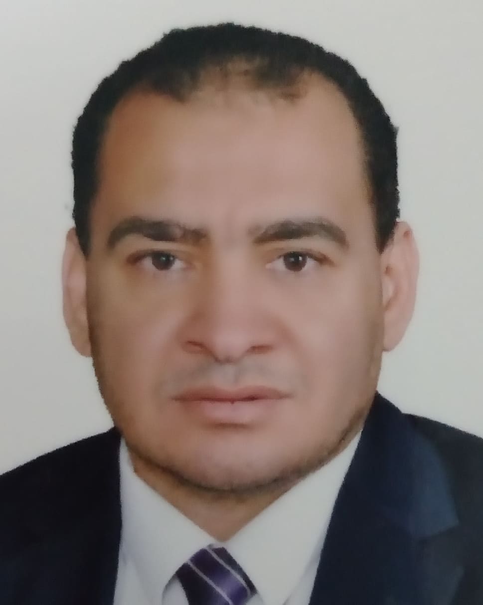 Rabie Abdel Raouf Amer